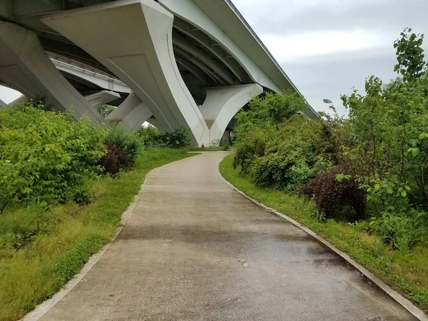 Caminho Para Grande Ponte Branca Com Árvores Verdes — Fotografia de Stock