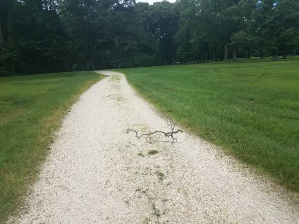 Sentier Pierre Galets Avec Herbe Arbres — Photo