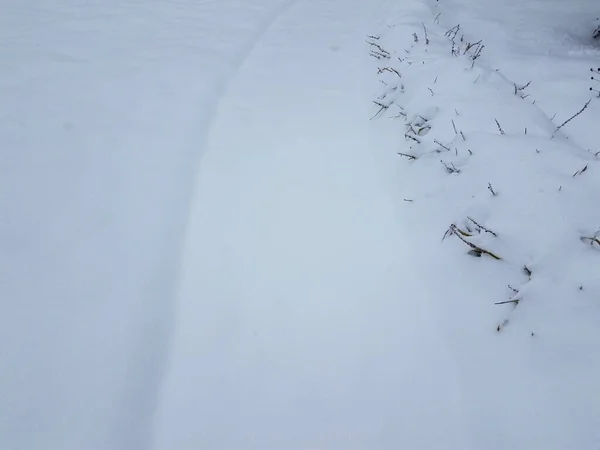 Nieve Blanca Hielo Camino Sendero Con Hierbas Invierno —  Fotos de Stock