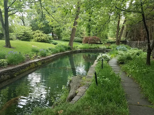 Path Trail Canal Stream Green Plants Grasses — Stock Photo, Image