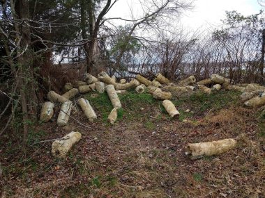 Çöpe atılmış eski metal direkler ya da yerde çimento olan işaretler.