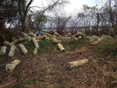 Çöpe atılmış eski metal direkler ya da yerde çimento olan işaretler.