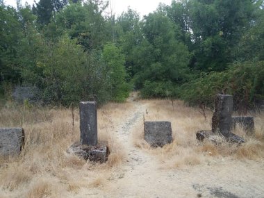 Metal, yosun ve kahverengi otlu eski çimento direği