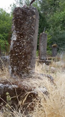 Metal, yosun ve kahverengi otlu eski çimento direği