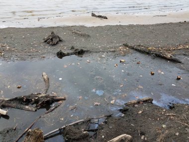 Toprak, enkaz, petrol, su ve okyanus kıyısındaki kum.