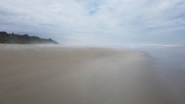 Okyanus ya da deniz suyu ve kumsal Newport, Oregon 'da