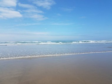 Okyanus ya da deniz suyu ve kumsal Newport, Oregon 'da