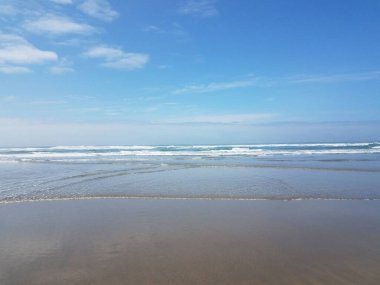 Okyanus ya da deniz suyu ve kumsal Newport, Oregon 'da