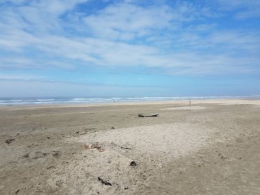 Okyanus ve sahil kıyısı veya kumlu ve dalgalı sahil