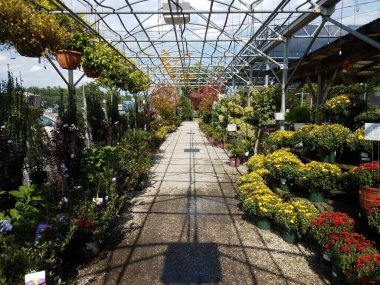 Bir sürü renkli bitkisi olan bir açık hava bitkisi.