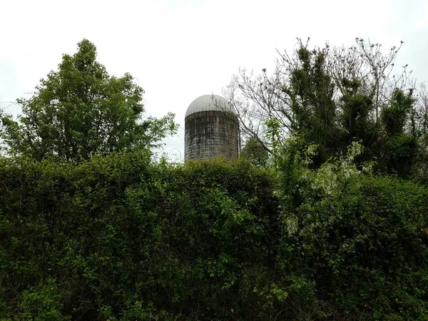 Silo Velho Resistido Usado Fazenda Com Árvores Verdes Plantas — Fotografia de Stock