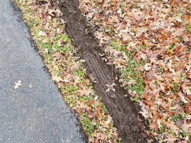 Siyah asfalt ya da asfalt yapraklı çamurlu lastik izleri.