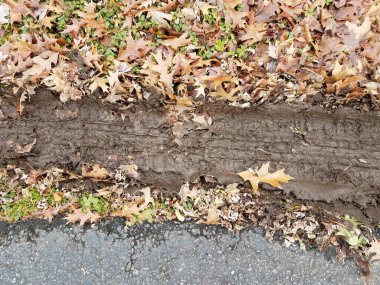 Siyah asfalt ya da asfalt yapraklı çamurlu lastik izleri.