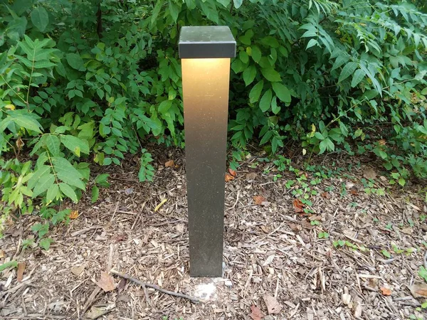 Ein Lichtmast Aus Metall Rindenstaub Mit Pflanzen — Stockfoto