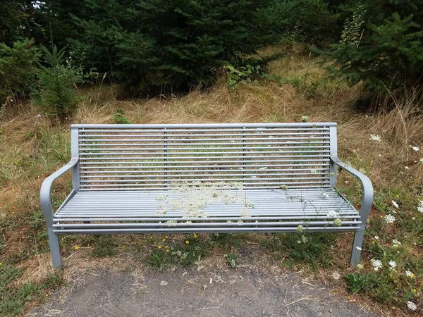 Banc Chaise Métallique Avec Herbes Mauvaises Herbes Blanches Poussant Travers — Photo