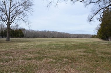 büyük ve geniş yeşil çimenler ya da ağaçlı bahçe