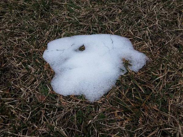 Derretimiento Nieve Blanca Hielo Sobre Hierba Verde Marrón Césped —  Fotos de Stock