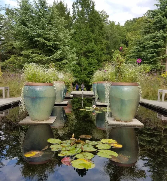 水面上的一些百合花垫和大花盆 — 图库照片