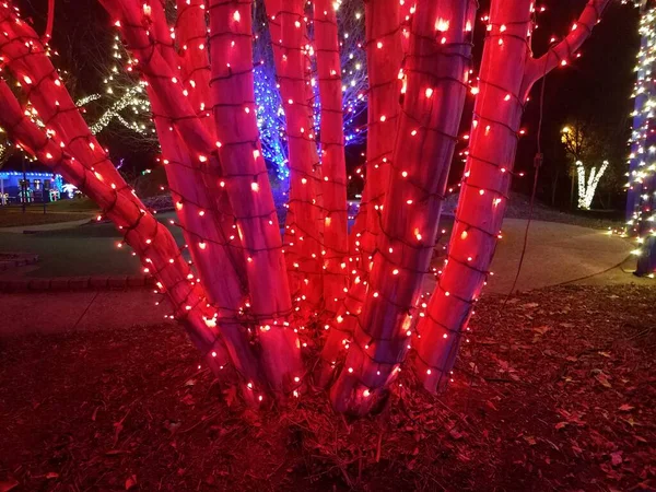 Luzes Vermelhas Feriado Decorações Tronco Árvore Ramos — Fotografia de Stock
