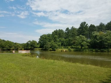 Parkta bir sürü yeşil bitki ve orman olan göl.