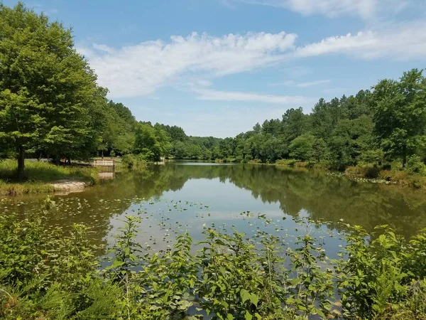 Lago Tamaño Mediano Con Árboles Plantas Vegetación — Foto de Stock