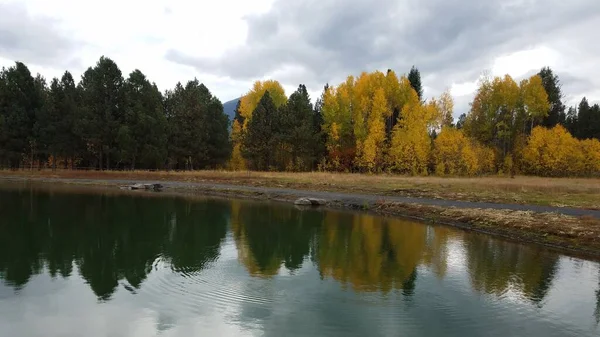 Озеро Пруд Желтыми Зелеными Деревьями Отражением Рябью Дорожкой — стоковое фото