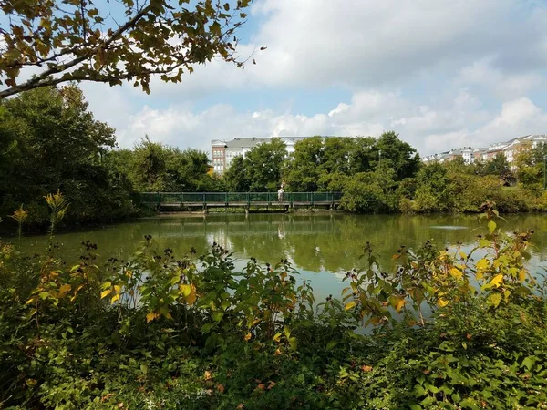 Muž Mostě Hledící Jezera — Stock fotografie