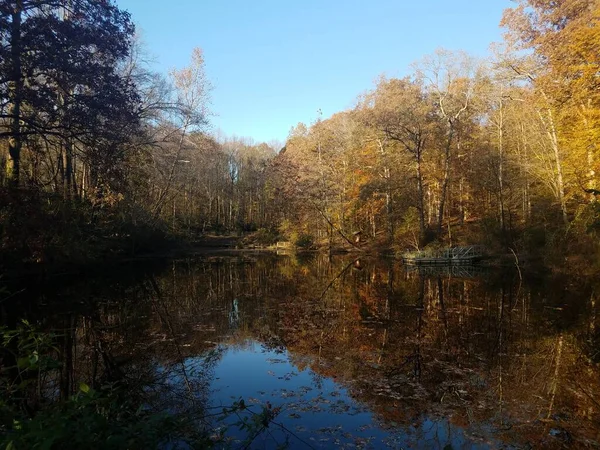 See Oder Teich Mit Steg Und Bäumen Und Blättern Und — Stockfoto