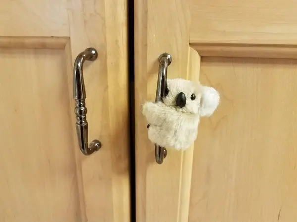 Pequeno Urso Coala Maçaneta Porta Armário Madeira — Fotografia de Stock