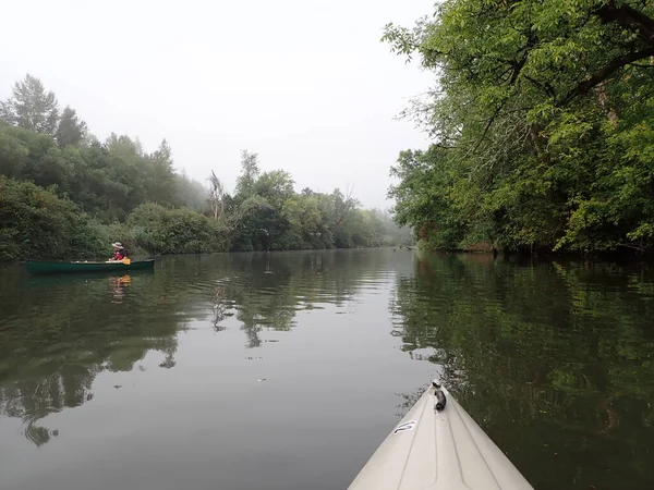 Kayak Rivière Ruisseau Avec Arbres Verts — Photo