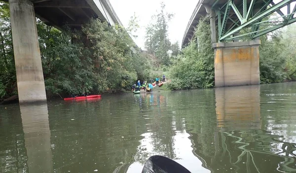 Kayak Rivière Ruisseau Avec Arbres Verts — Photo