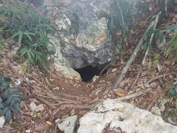 Hole Karst Rock Stone Guajataca Forest Puerto Rico — Stock Photo, Image