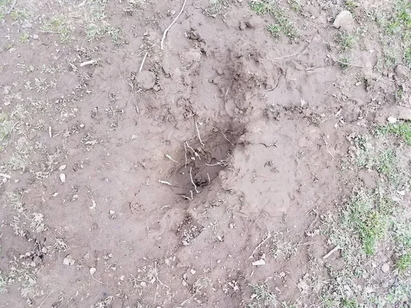 Hole Dirt Mud Roots Yard Lawn — Stock Photo, Image