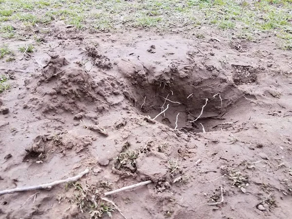 Hole with Muddy Water and Mud and Grass Stock Image - Image of grass,  nature: 175841205