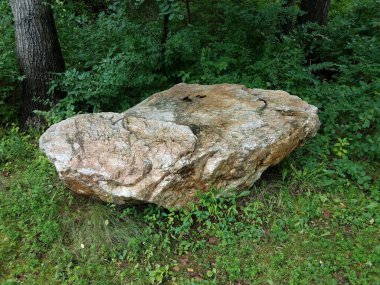 Büyük bir kaya ya da yeşil çimenli bir kaya.