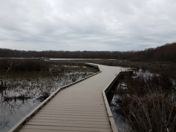 Boardwalk Wetland Swamp Water Trees Heron — Stock Photo, Image