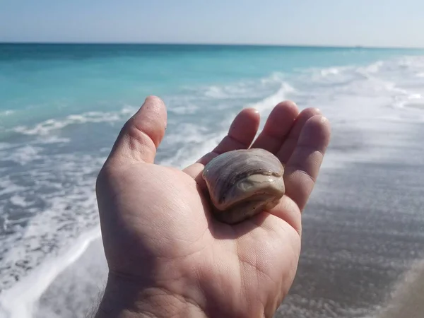 Рука Держит Раковину Камень Пляже Морской Водой Волнами — стоковое фото