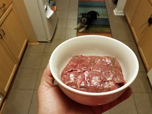 Χέρι Εκμετάλλευση Μπολ Του Ωμού Κρέατος Σκυλί Στην Κουζίνα — Φωτογραφία Αρχείου