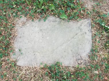 Yeşil çimlerde ya da çimlerde gri bir basamak