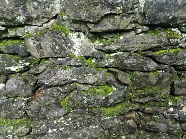 绿色苔藓和苔藓的灰色岩石或石墙 — 图库照片
