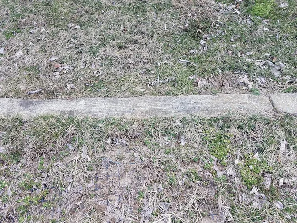 Gri çimento kaldırımı ya da yeşil ve kahverengi çimenlikte yol