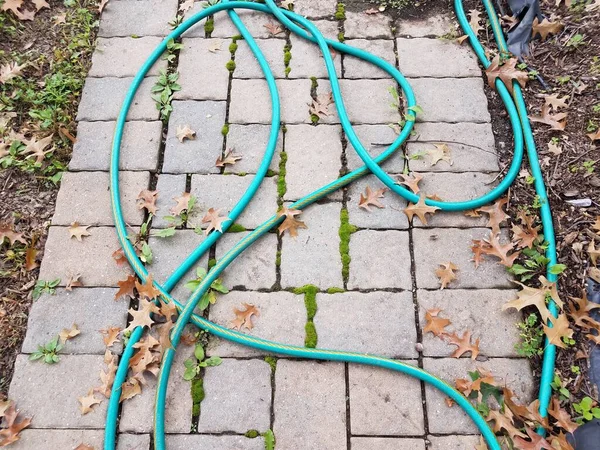 a green garden hose on a stone path with moss and weeds