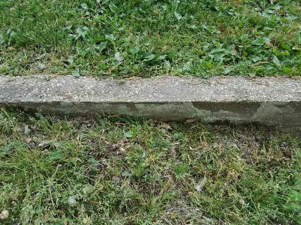 Grünes Gras Und Unkraut Und Ein Zementrandstein — Stockfoto