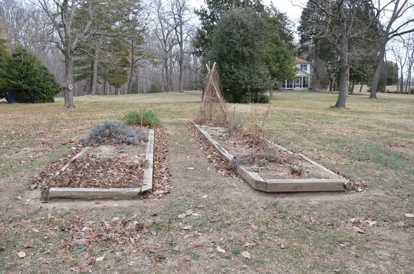 Tráva Zahradou Mrtvými Hnědými Rostlinami Zimě — Stock fotografie