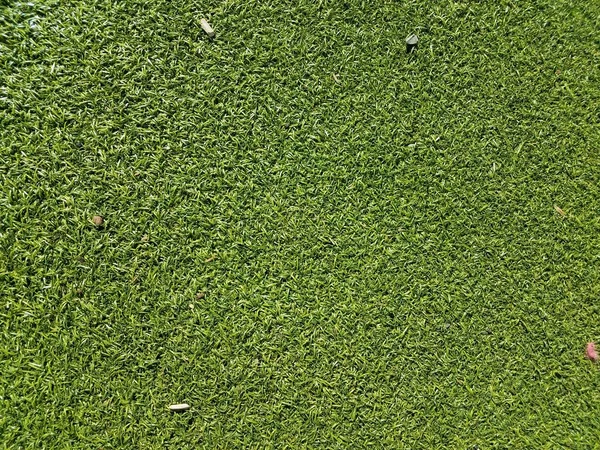 Пляма Зеленої Штучної Або Підробленої Трави — стокове фото