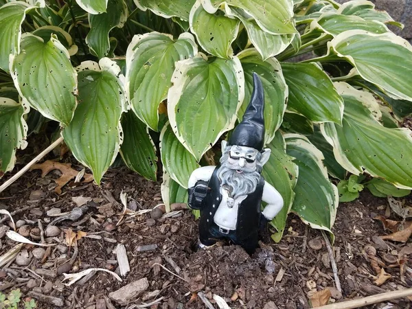 Ein Schwarz Weißer Gartenzwerg Der Nähe Von Pflanzen — Stockfoto