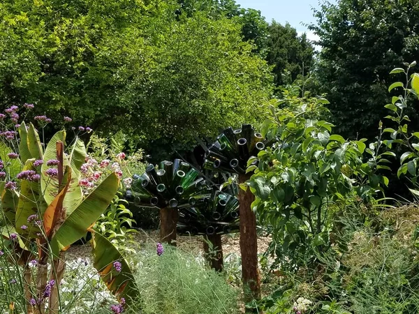 Glazen Flessen Bloemen Planten Een Tuin — Stockfoto