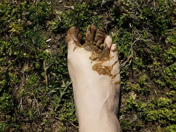 Foot Stepped Mud Poop Grass Lawn — Stock Photo, Image