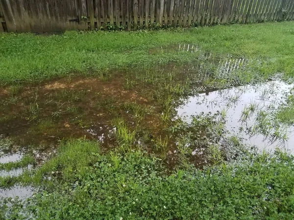 Quintal Inundado Gramado Com Poça Água Cerca Grama — Fotografia de Stock