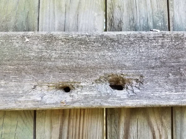 Cerca Madera Vieja Con Agujeros Ella Abejas Carpinteras Anidando — Foto de Stock